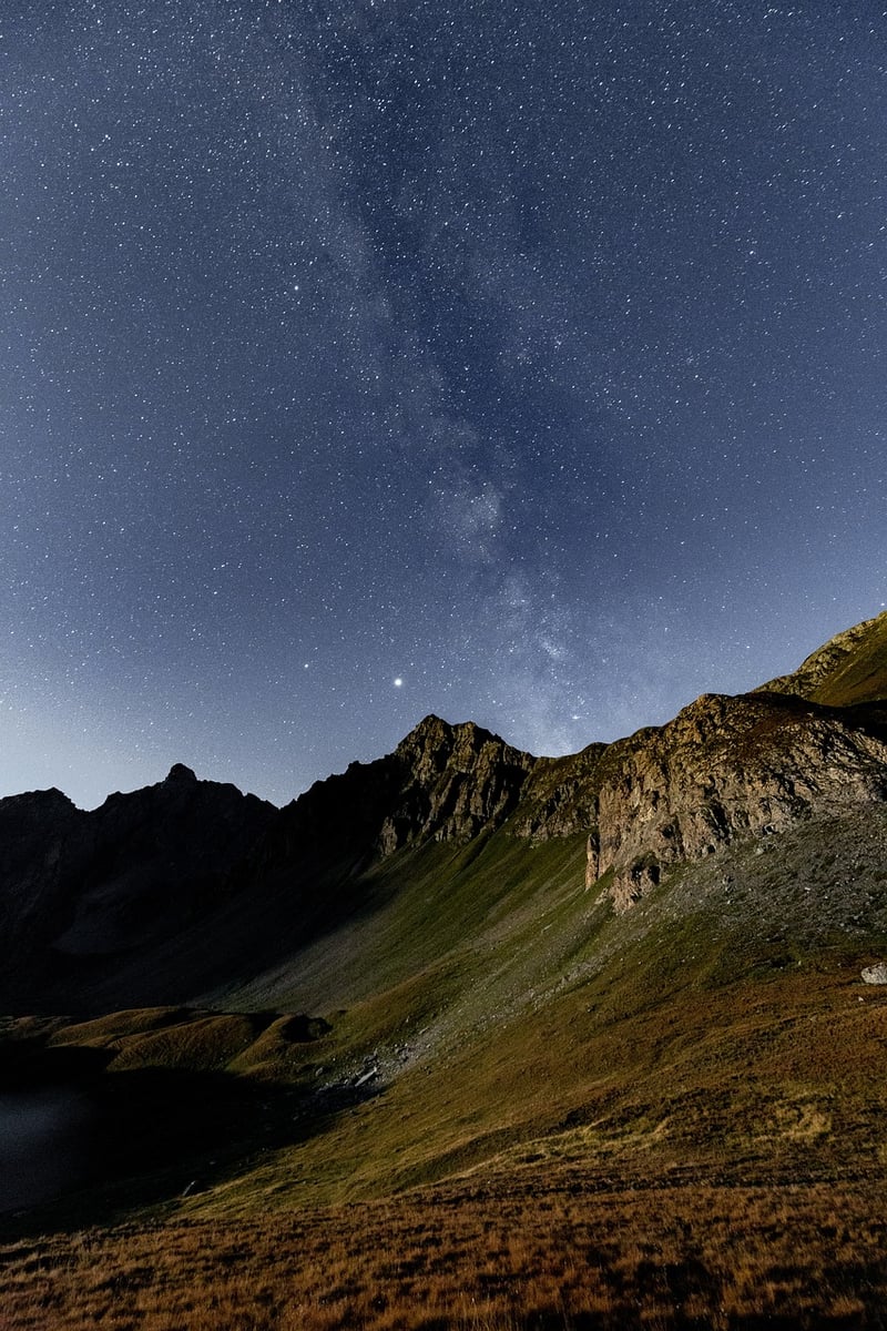 Starlit Meadow