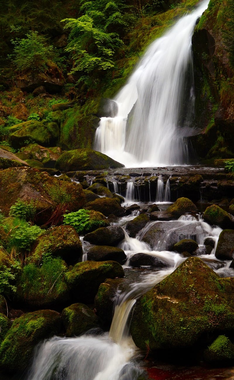 Enchanted Waterfalls